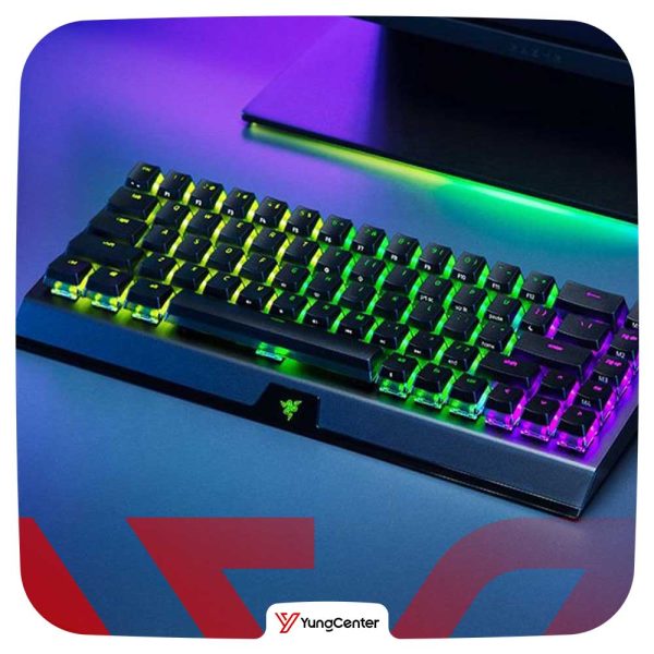 کیبورد ریزر Keyboard Razer Blackwidow V3 Mini HyperSpeed
